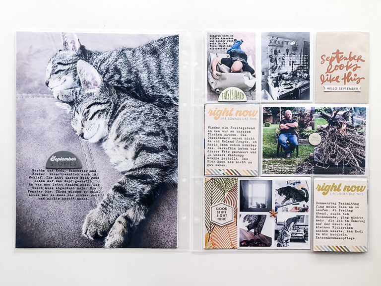 Project Life&reg; 2021 | September