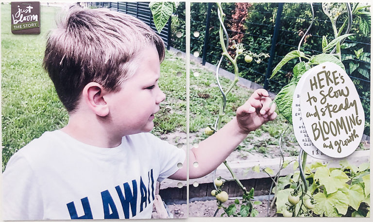 Tell More Stories | Layout #8