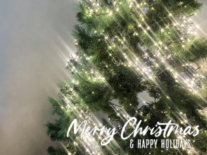 Merry Christmas & Happy Holidays