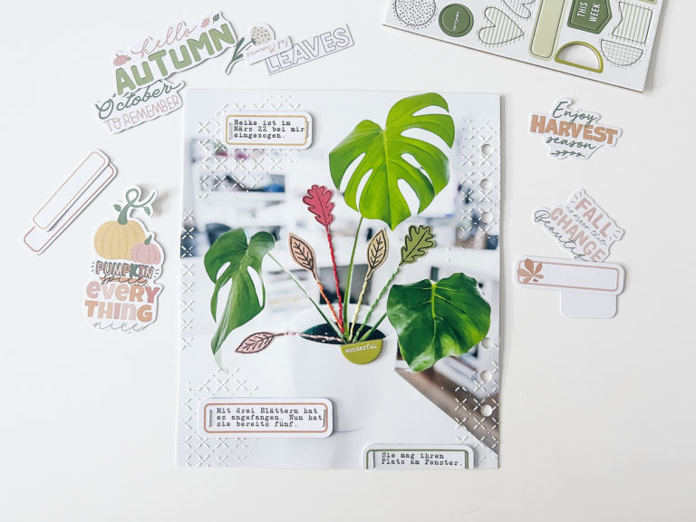 DLS Design | Genuine | Heike